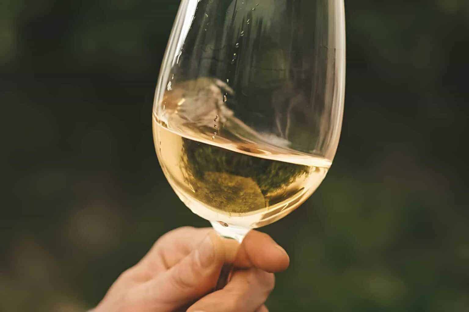 Albarino-wine-Appearance-And-Aroma