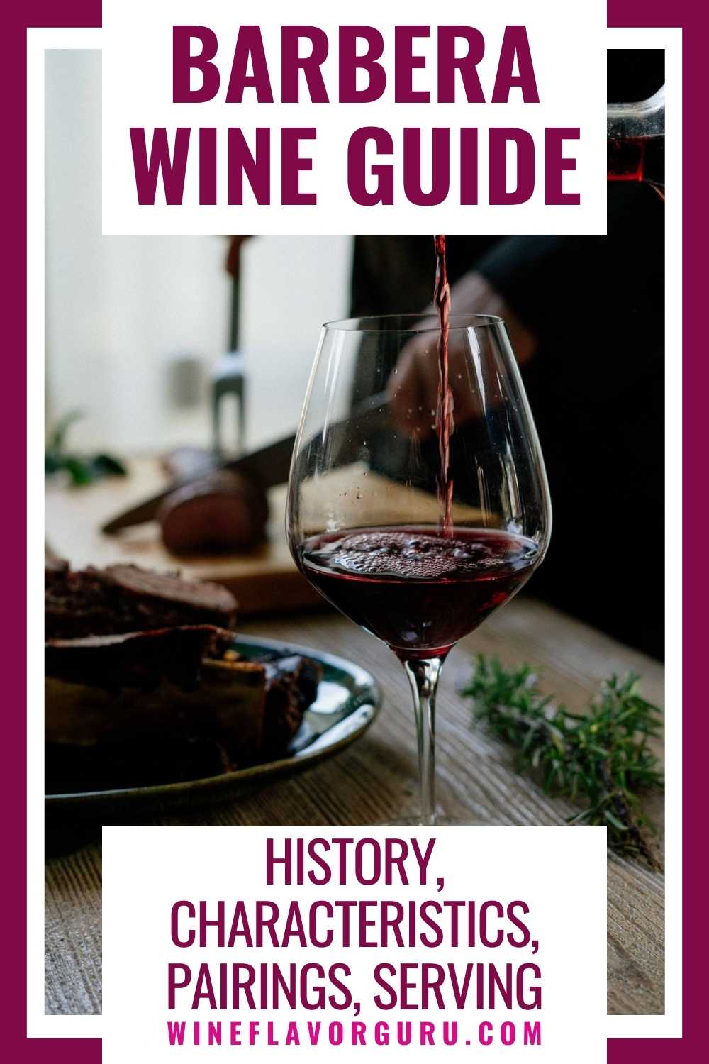 Barbera Wine Guide