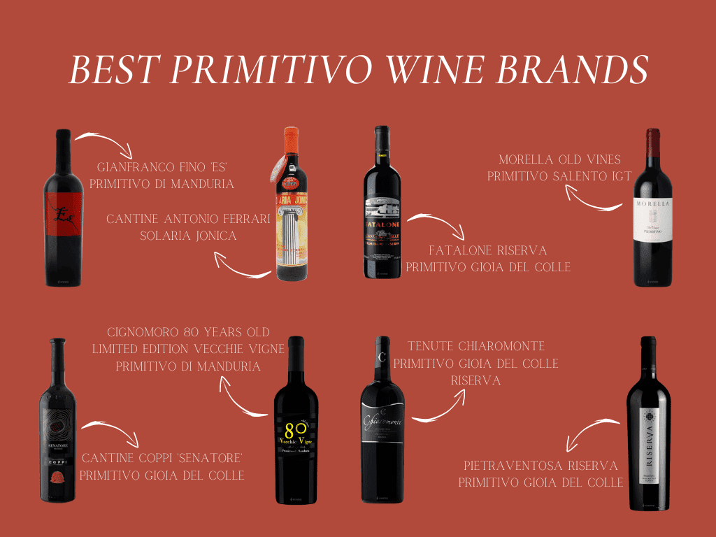 Best-Primitivo-Wines
