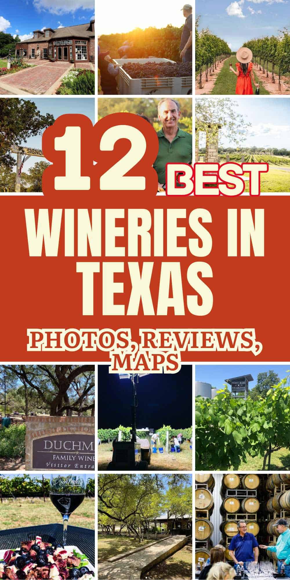 Best Texas Wineries and Vineyards