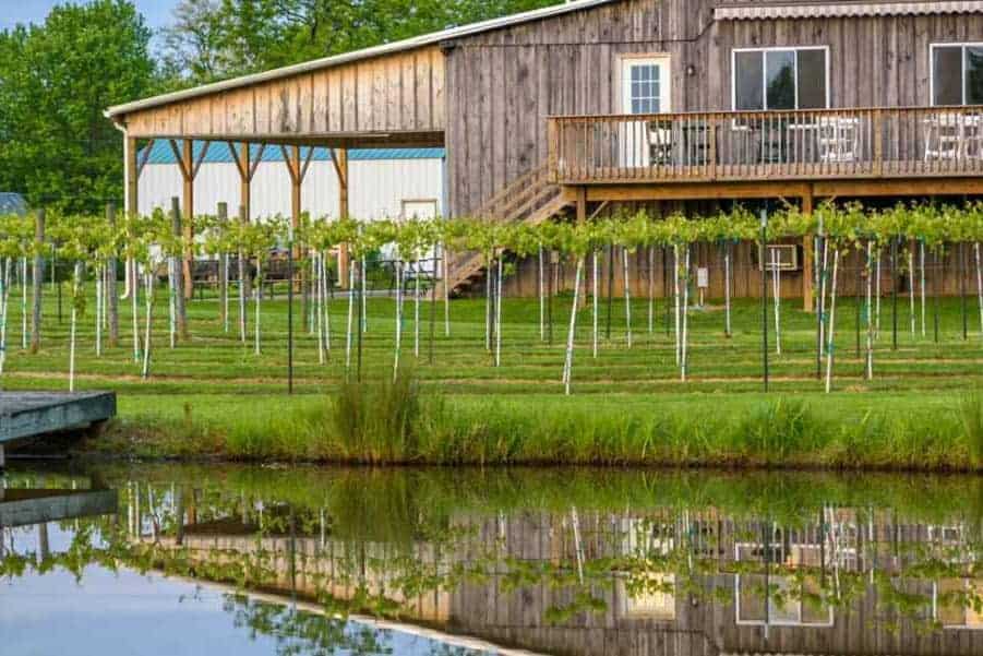 Best-Winerie-in-Indiana-to-Visit-At-the-Barn-Winery