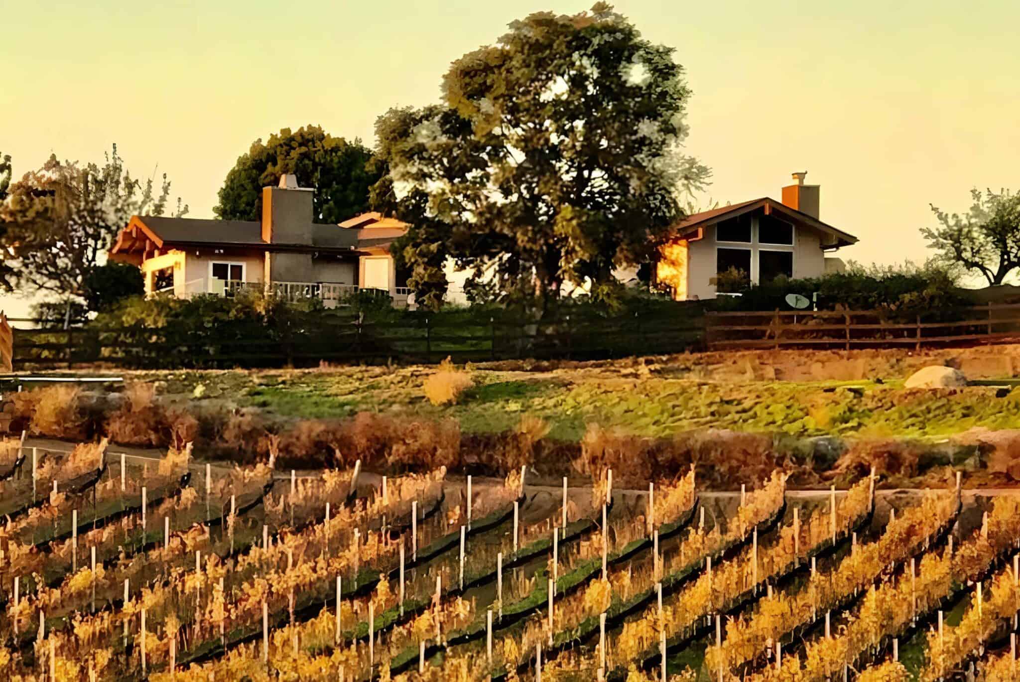 Best-Wineries-in-Escondido-CA