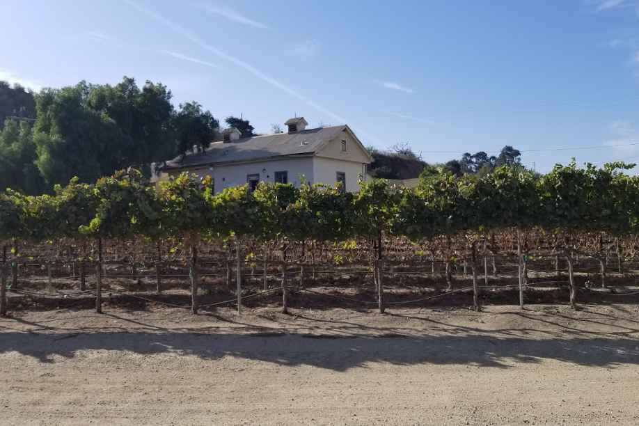 Best-Wineries-of-Monterey-County-Pessagno-Winery