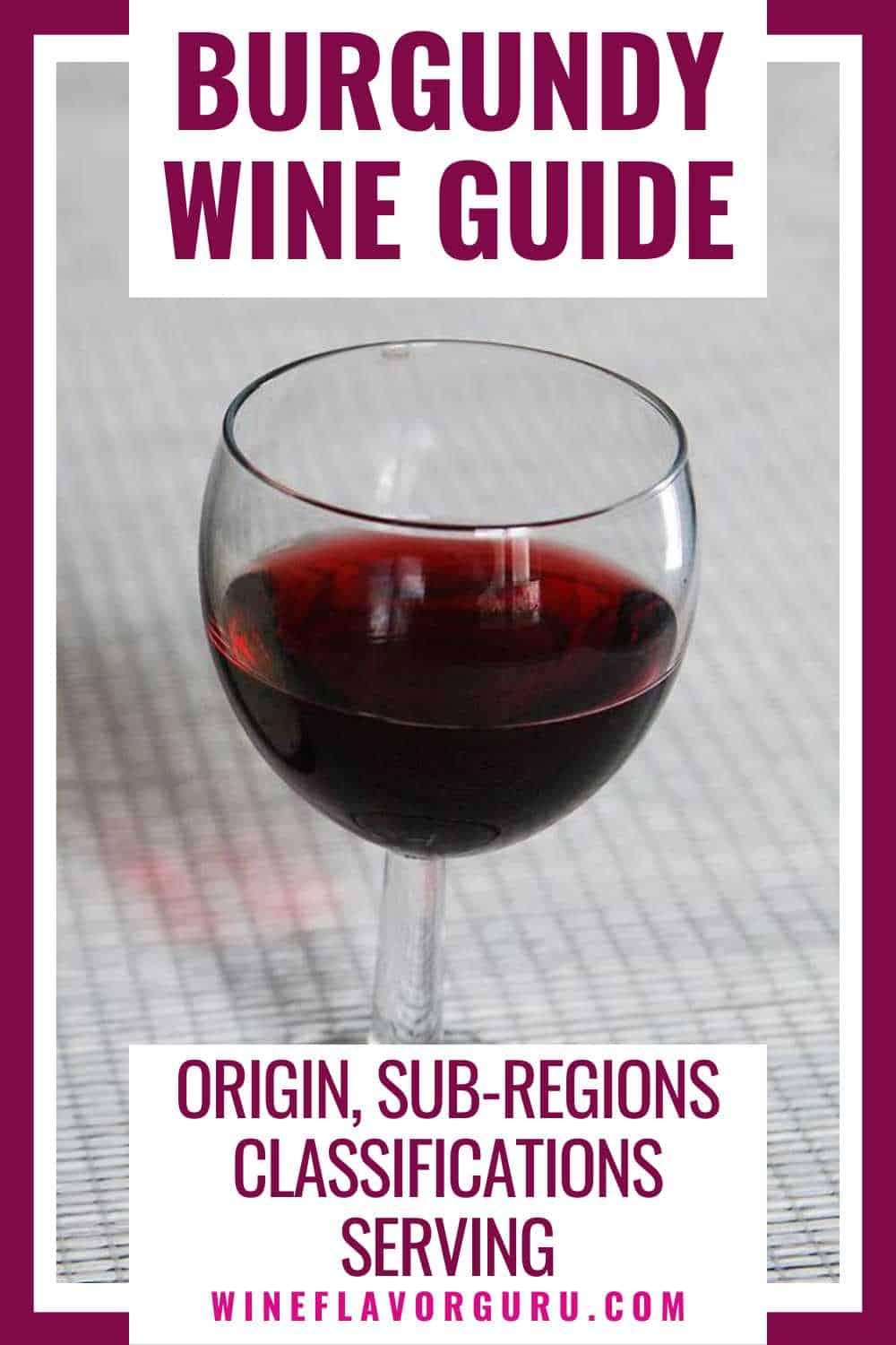 Burgundy Wine guide