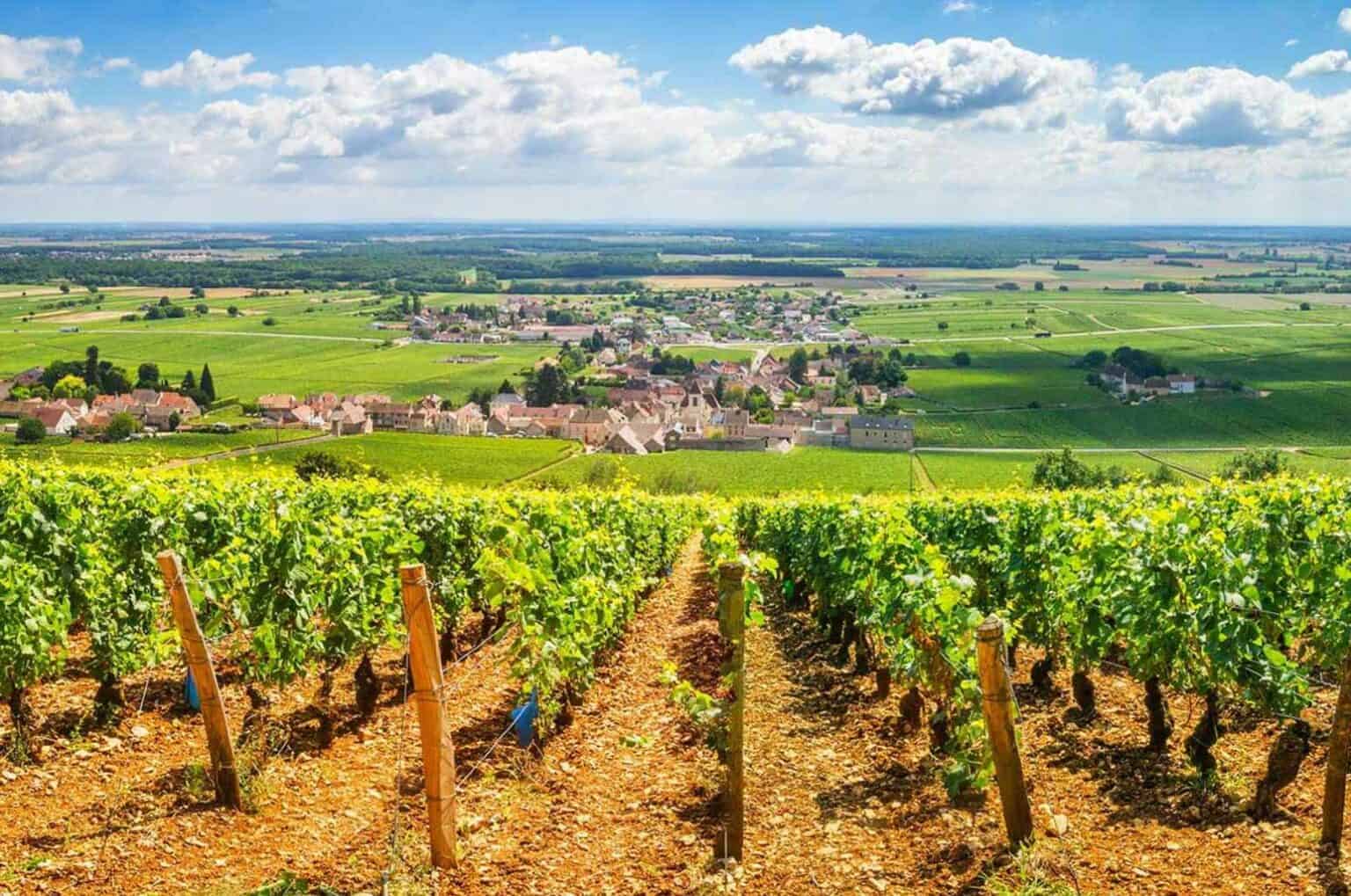 Burgundy-Wines-Classifications