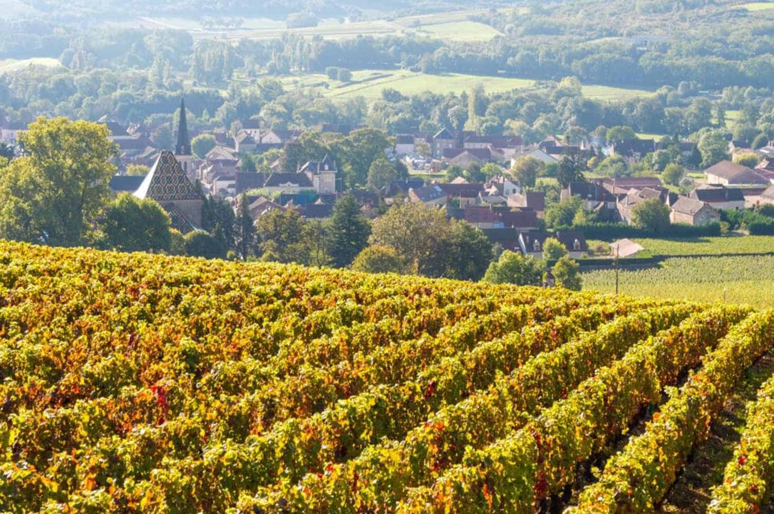 Burgundys-Fastest-Growing-Sub-regions