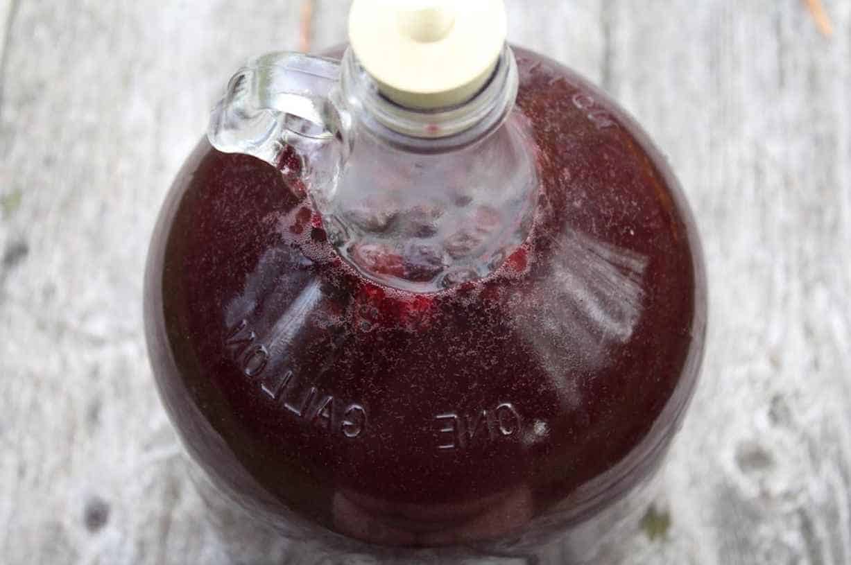 Can-You-Make-Your-Own-Port-Wine-at-Home