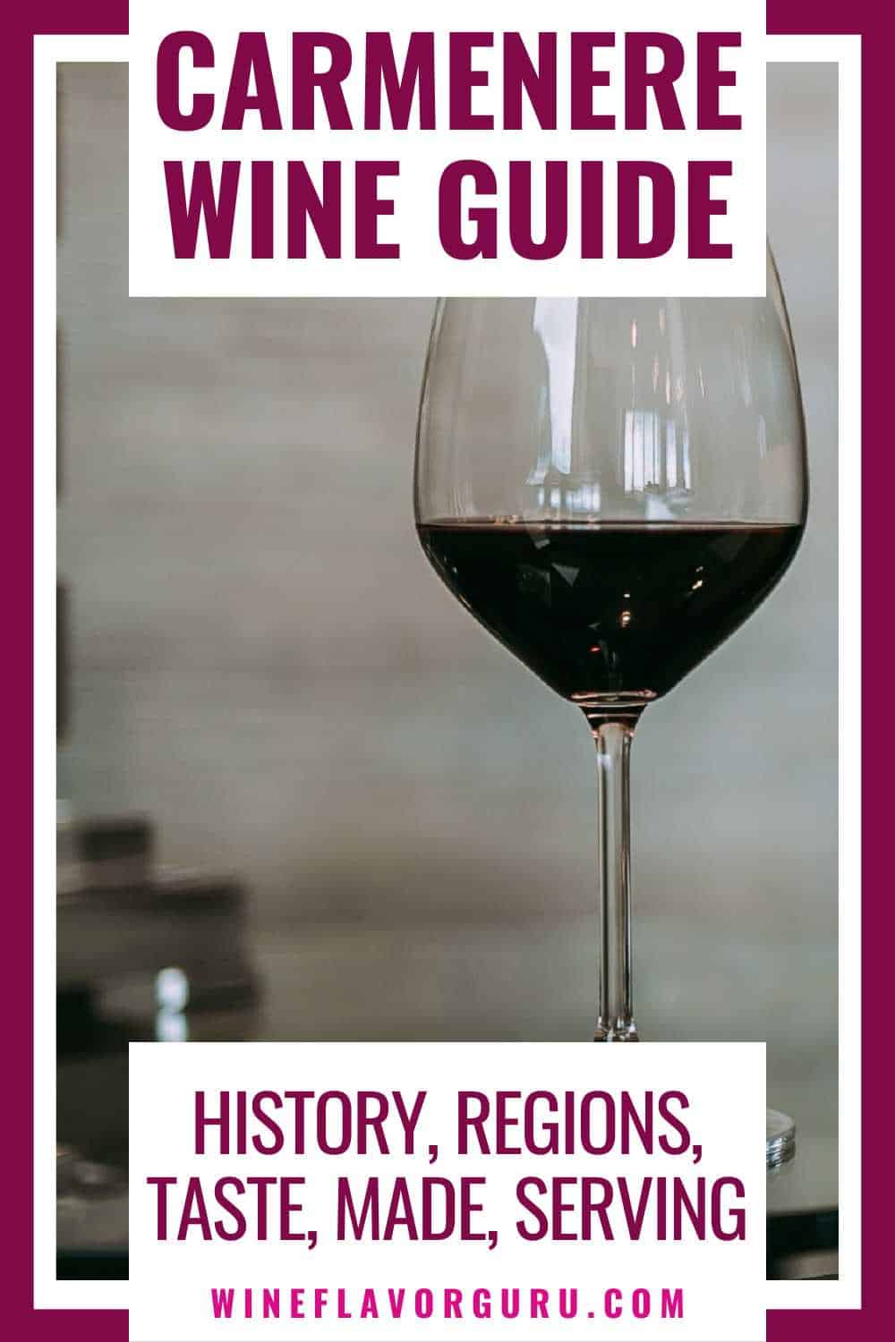 Carmenere Wine Guide