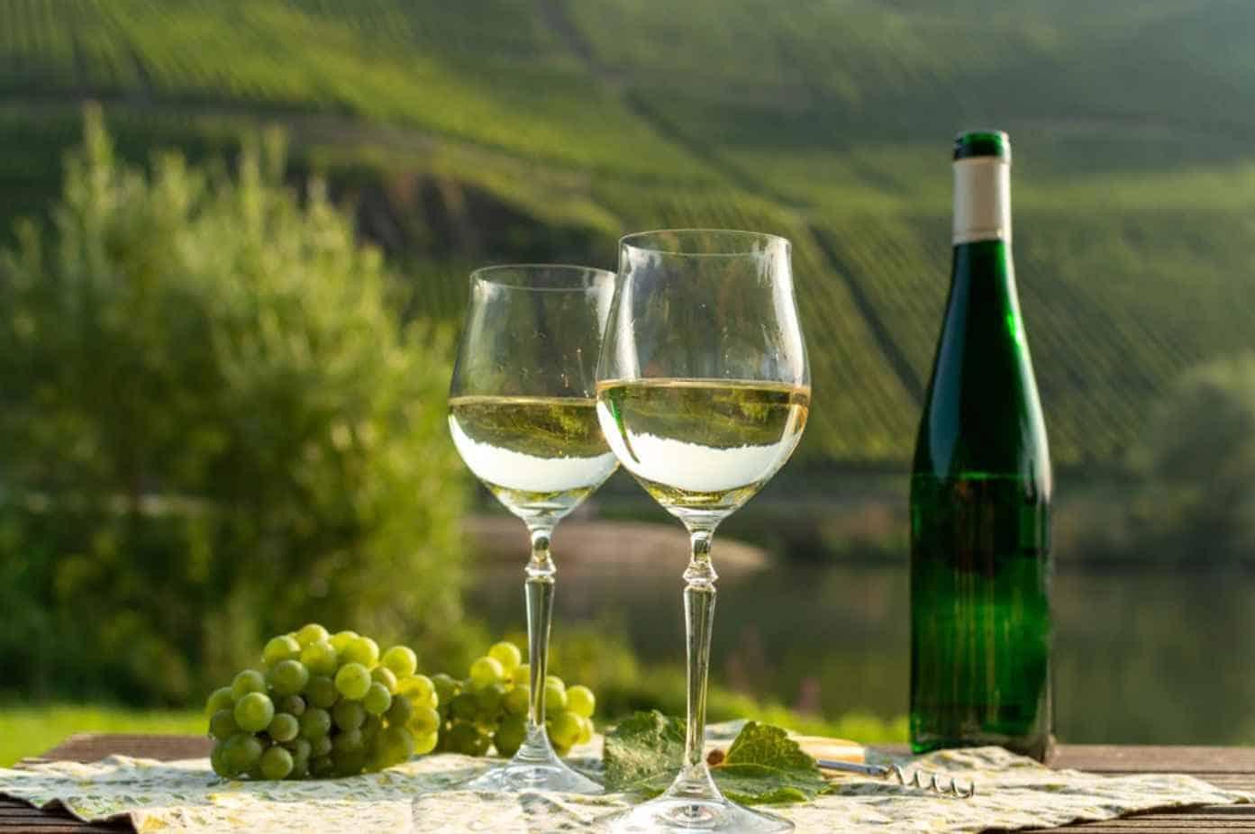 https://wineflavorguru.com/wp-content/uploads/2023/12/Chardonnay-Overview.jpg