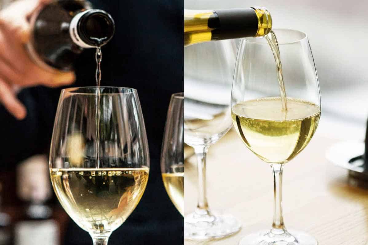 Chenin-Blanc-and-Sauvignon-Blanc-The-Difference