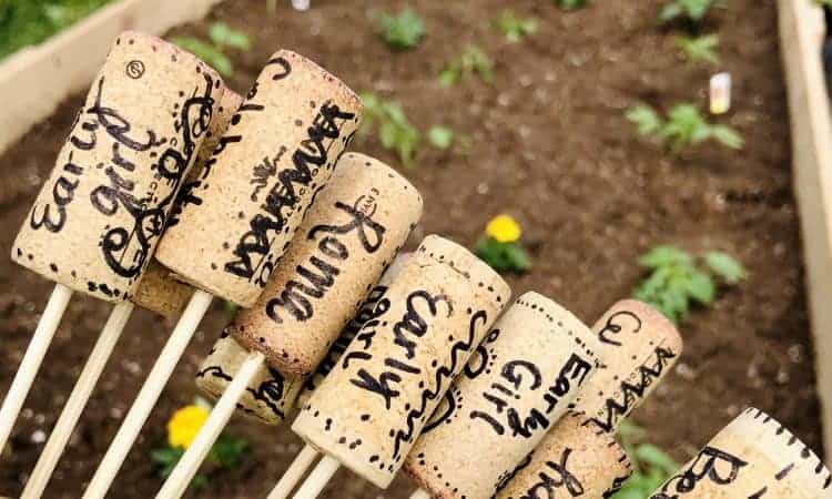 DIY-Wine-Cork-Garden-Markers