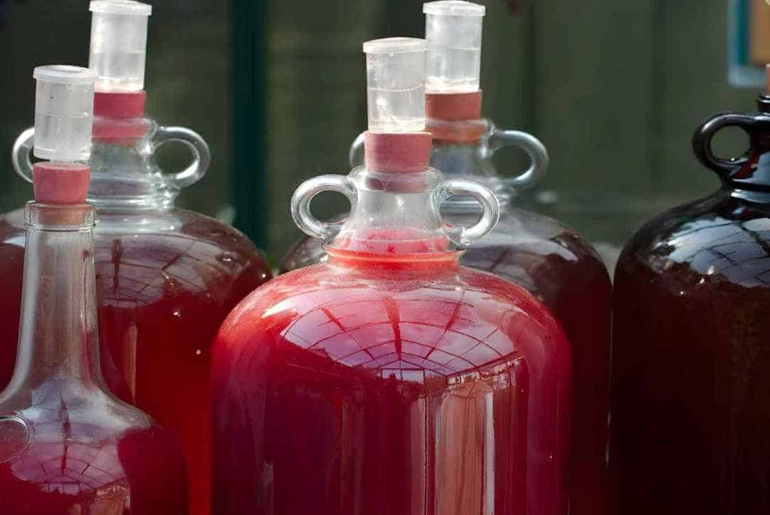 Fermentation-And-Bottling