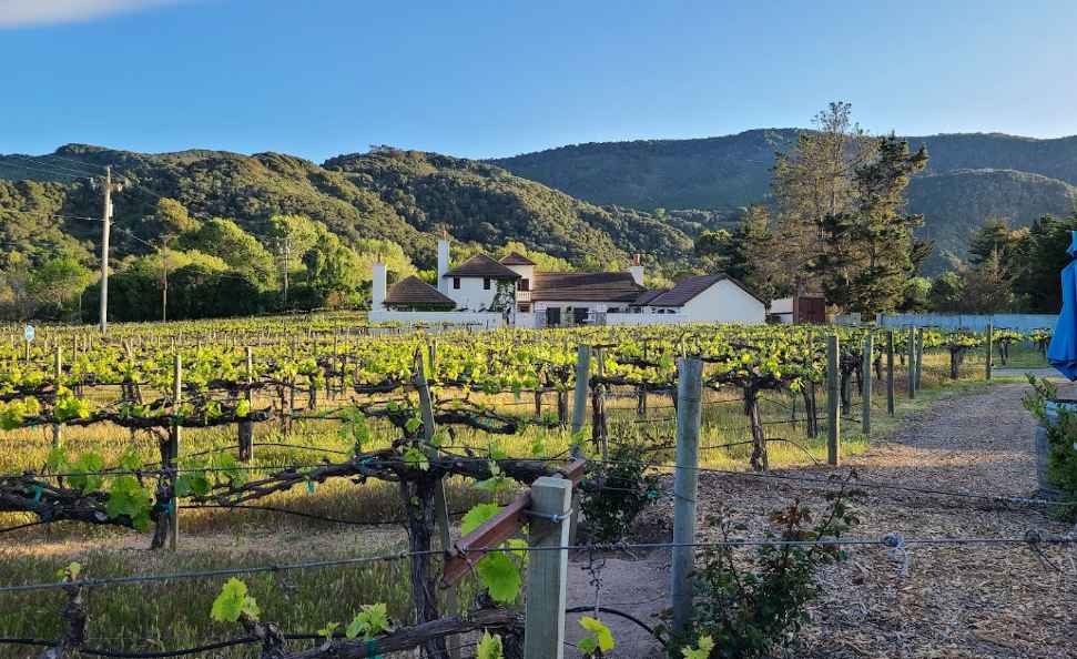 Folktale-Winery-Vineyards