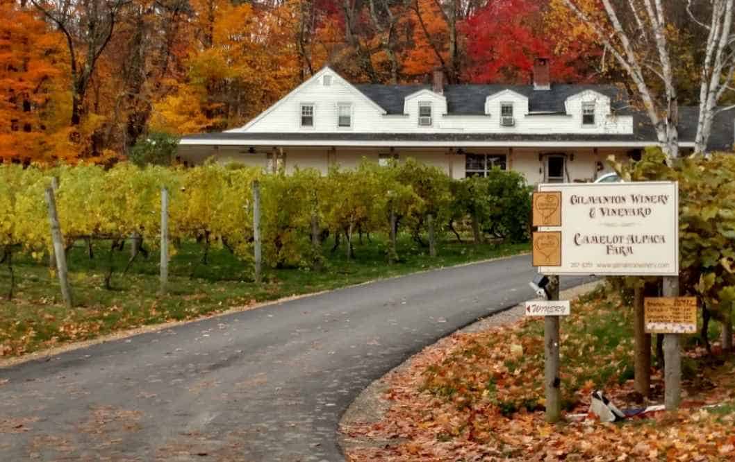 Gilmanton-Winery-in-New-Hampshire-US
