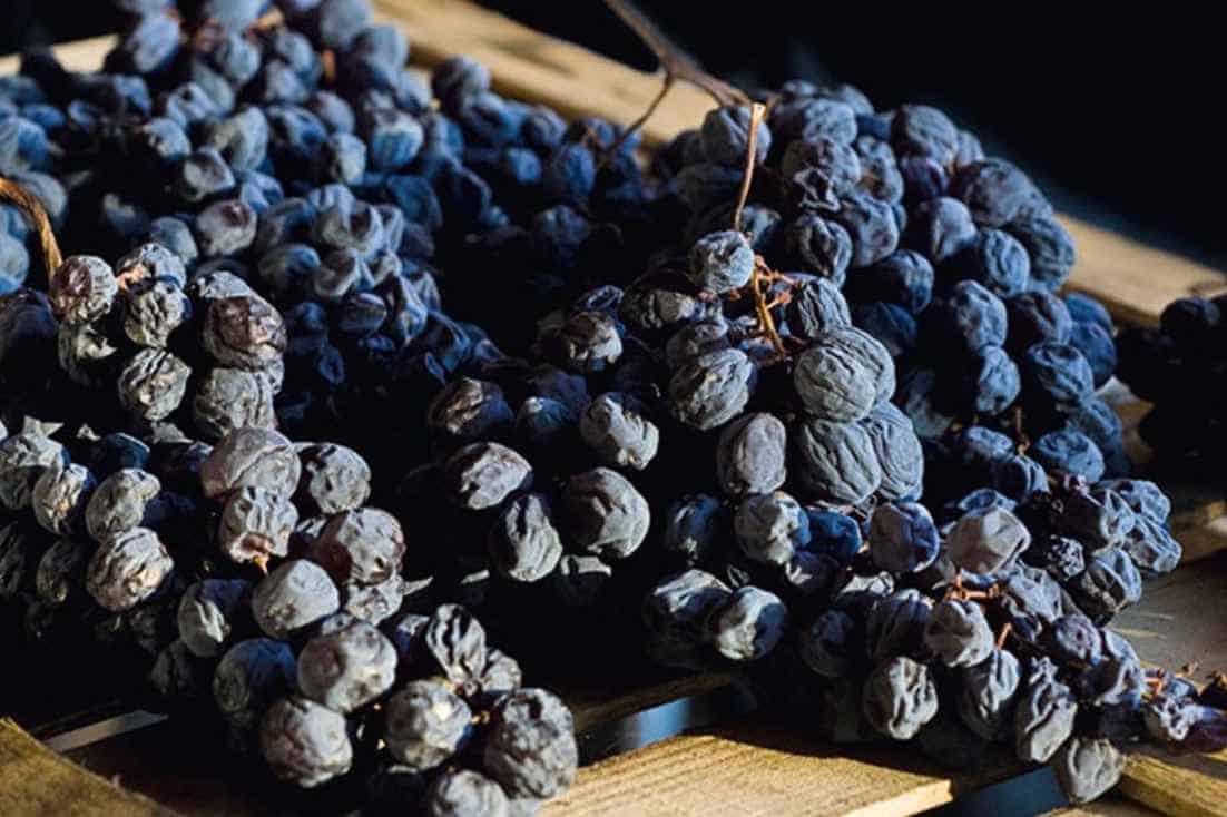 How-Amarone-Wine-is-Made