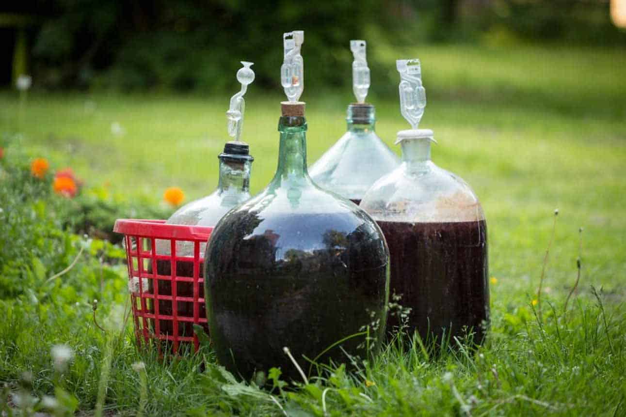 How-Long-Does-It-Take-to-Make-Homemade-Wine