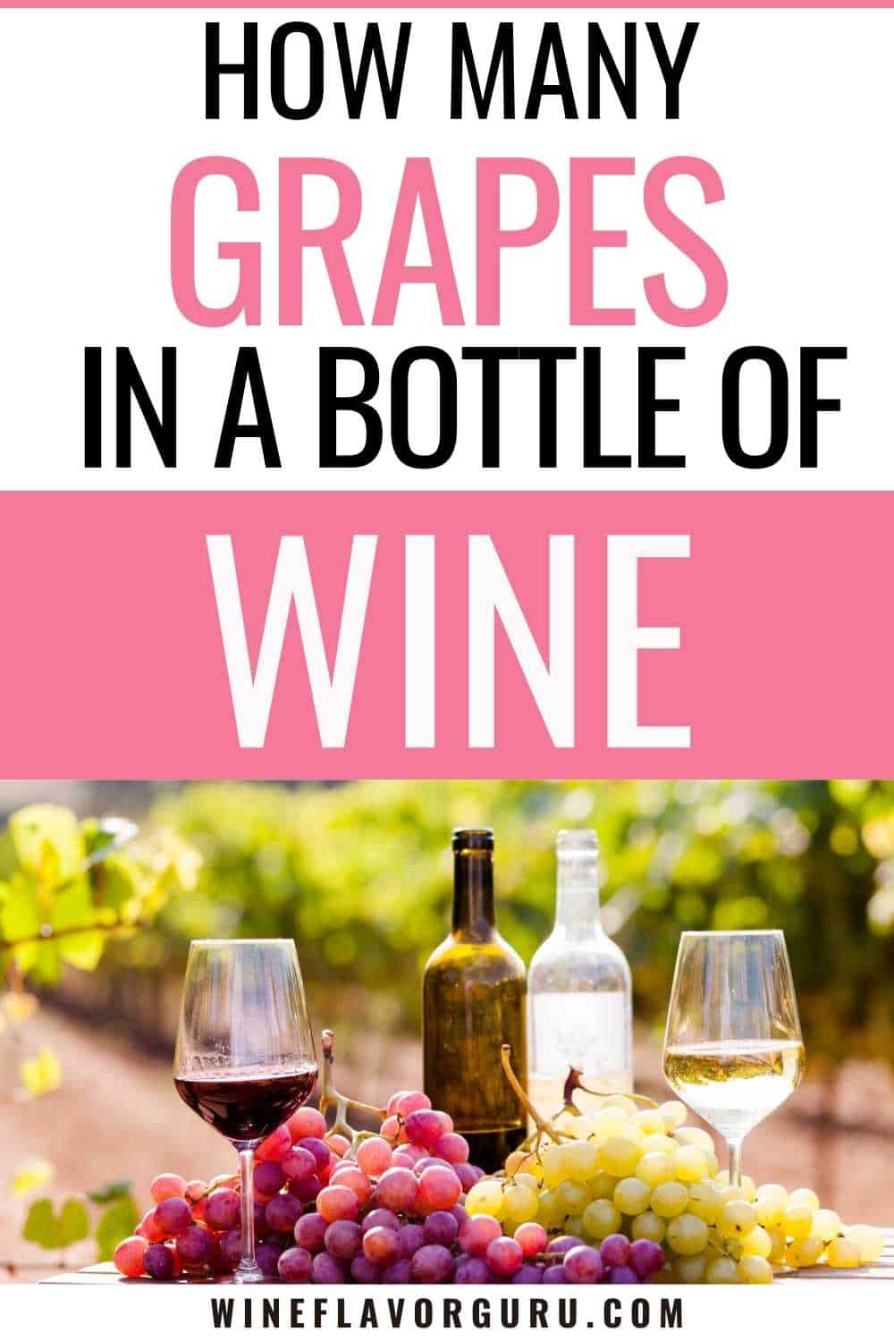 How Many Grapes in a Bottle of Wine?