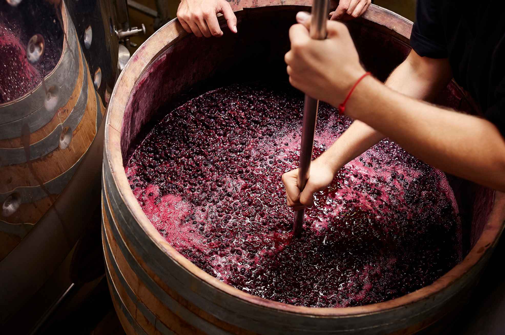 How-Wine-is-Made-The-Art-Of-Winemaking