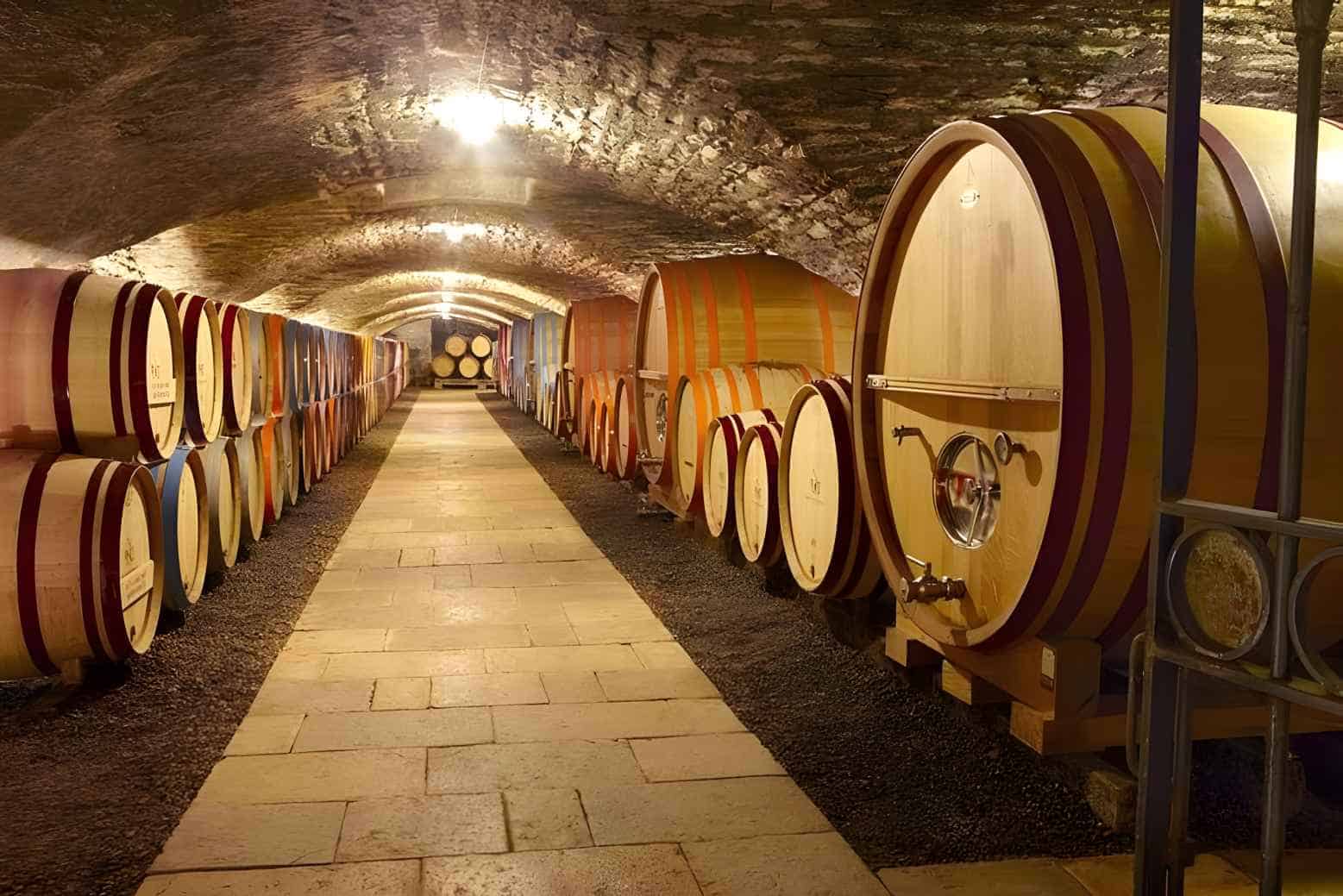 How-is-Montrachet-Wine-Made