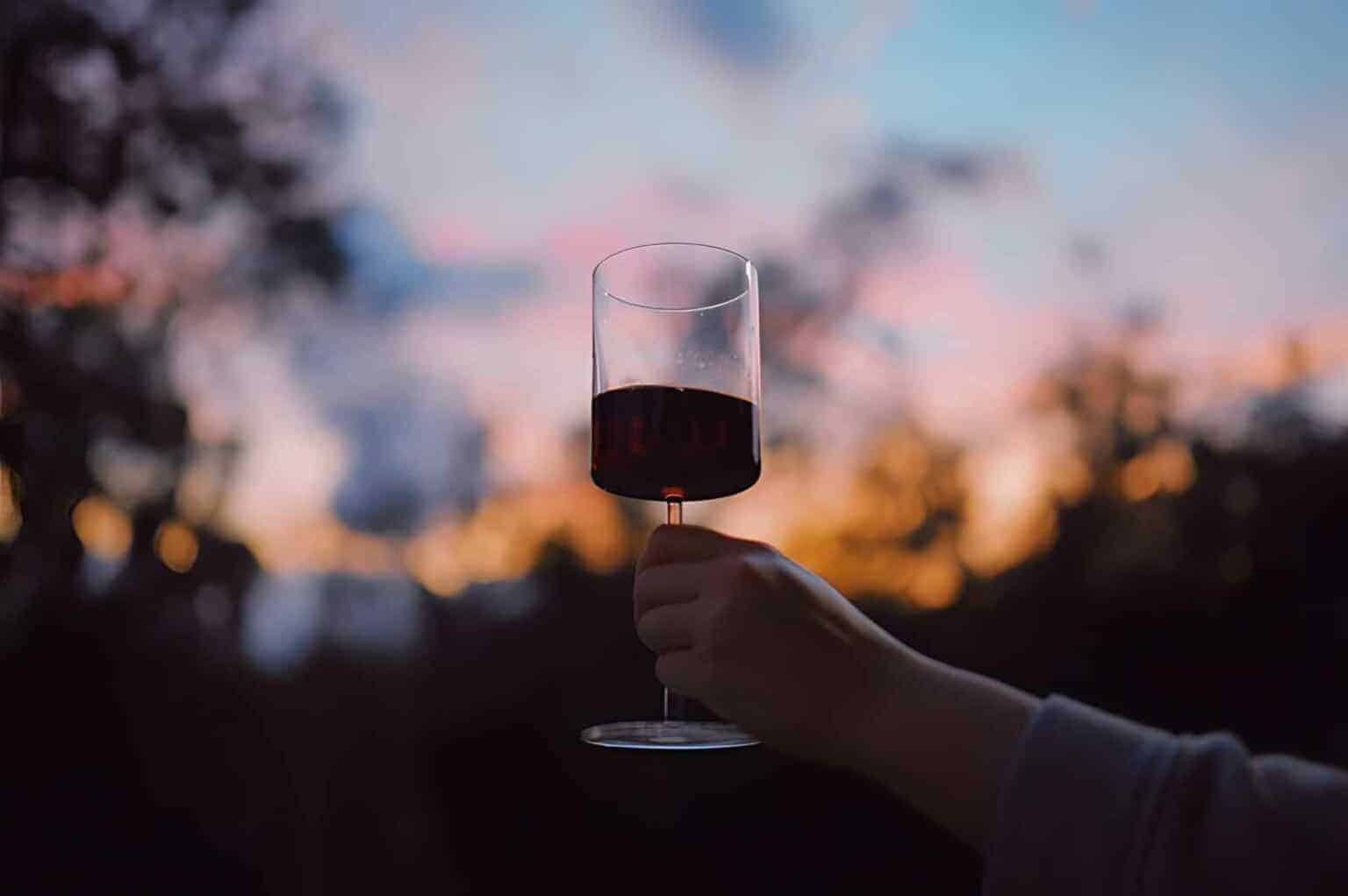 How-to-Best-Enjoy-Carmenere-Wine
