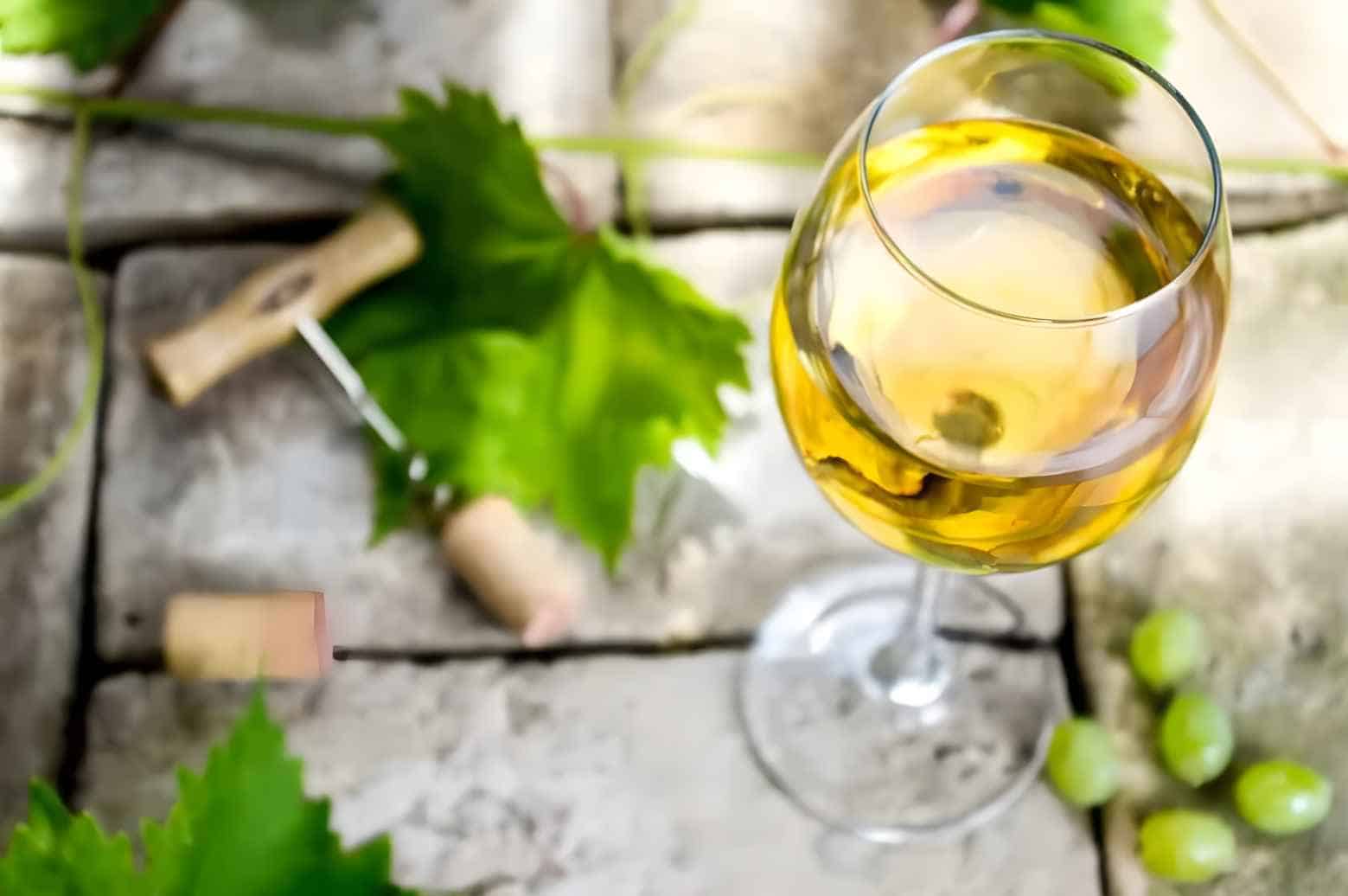 How-to-Enjoy-the-Sauvignon-Blanc
