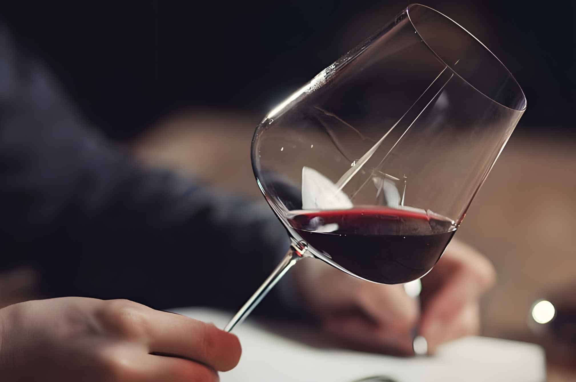 8 Easy Steps to Taste Wine - Beginner's Guide