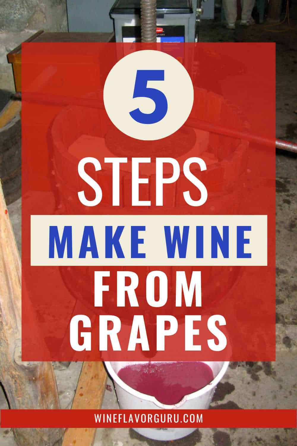 Make Wine from Grapes
