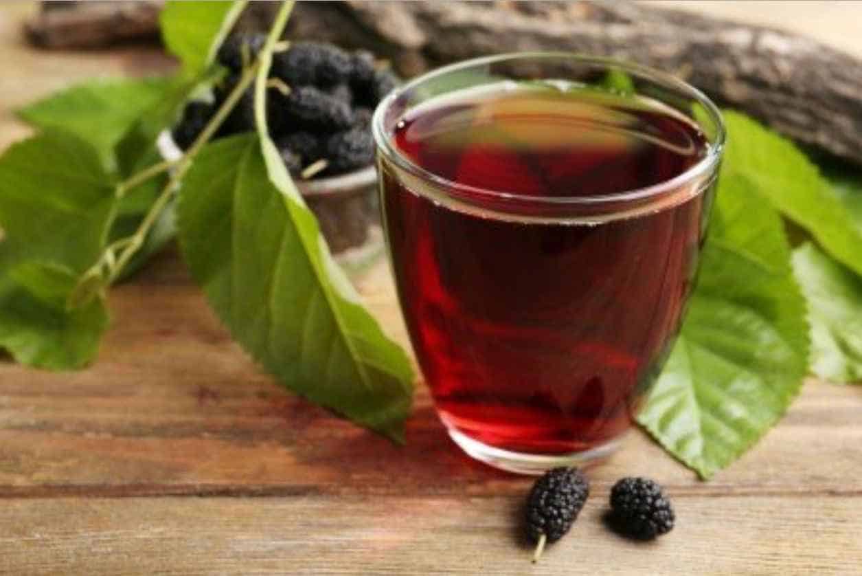 Mulberry-Wine-Recipe-of-Health