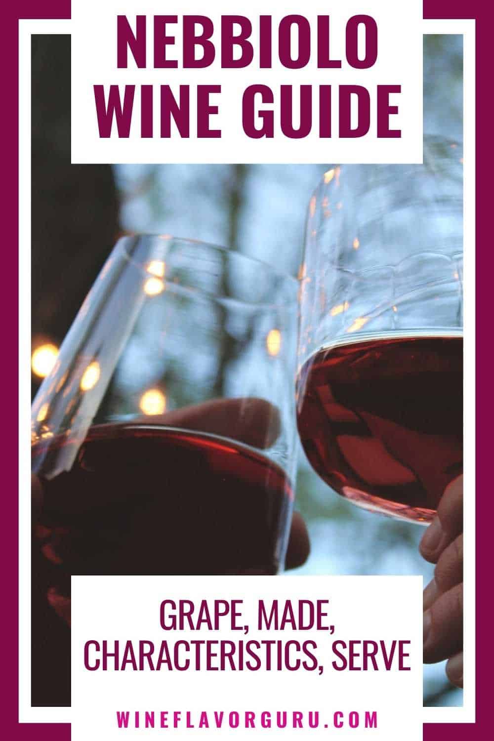 Nebbiolo Wine Guide