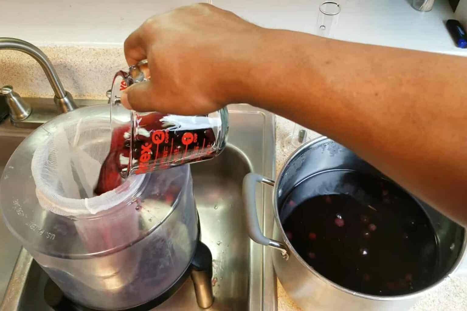 Once-the-blueberry-juice-has-cooled-down-you-can-transfer-it-to-a-fermenter-jug-using-a-strainer-cloth-so-the-berries-will-be-blocked-from-it