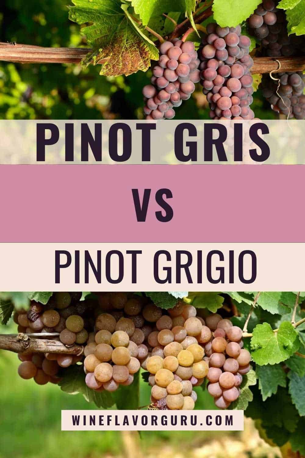 Pinot Gris vs. Pinot Grigio