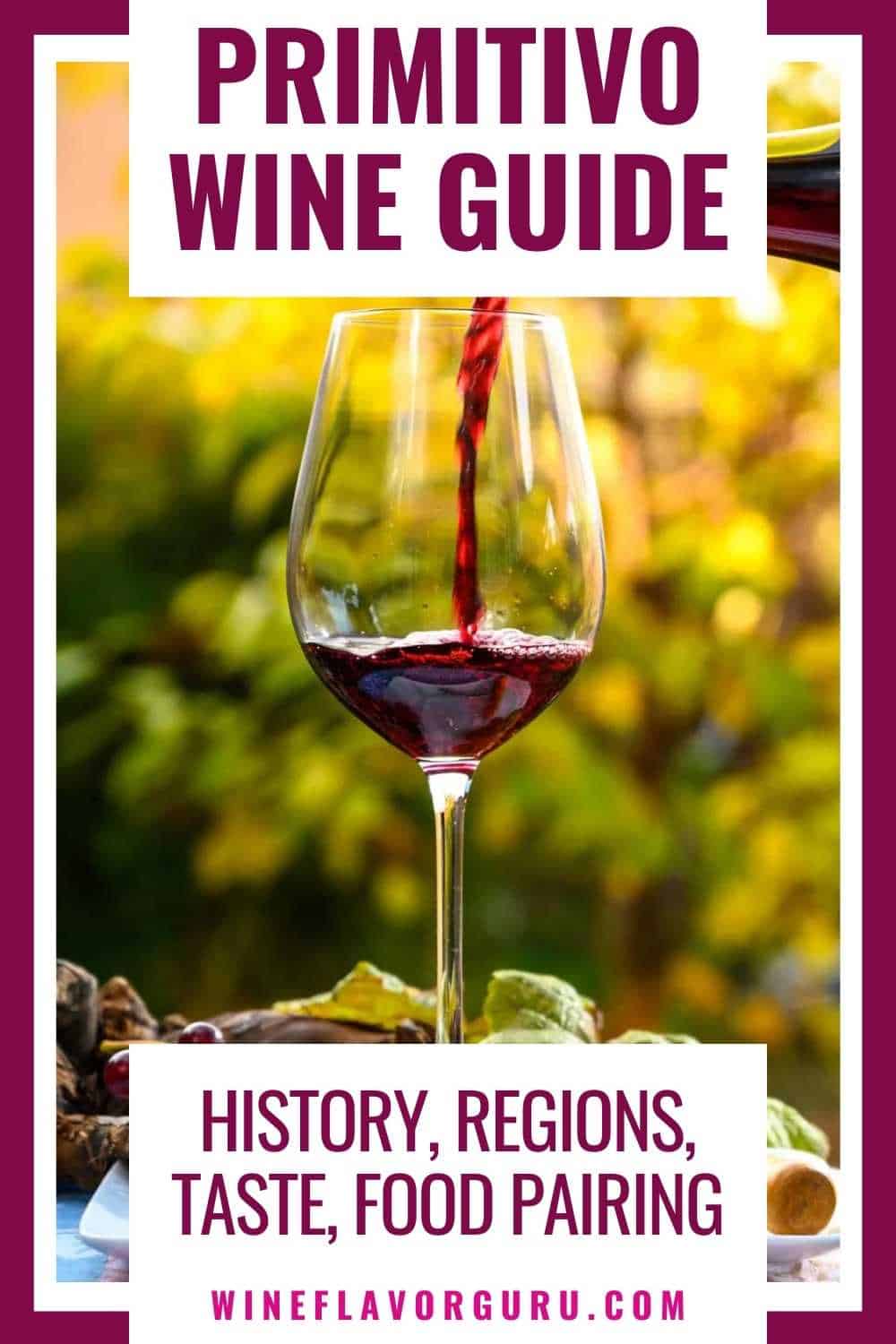 Primitivo Wine Guide