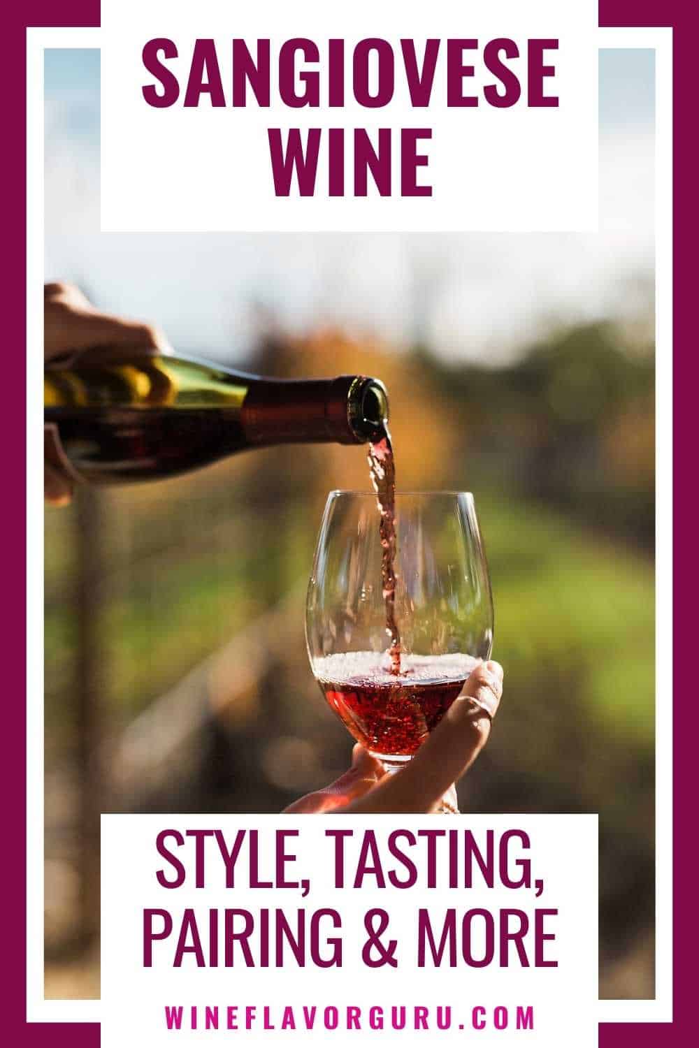 Sangiovese Wine guide