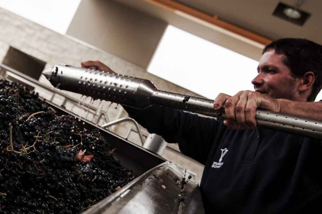 The-Process-of-Making-Port-Wine