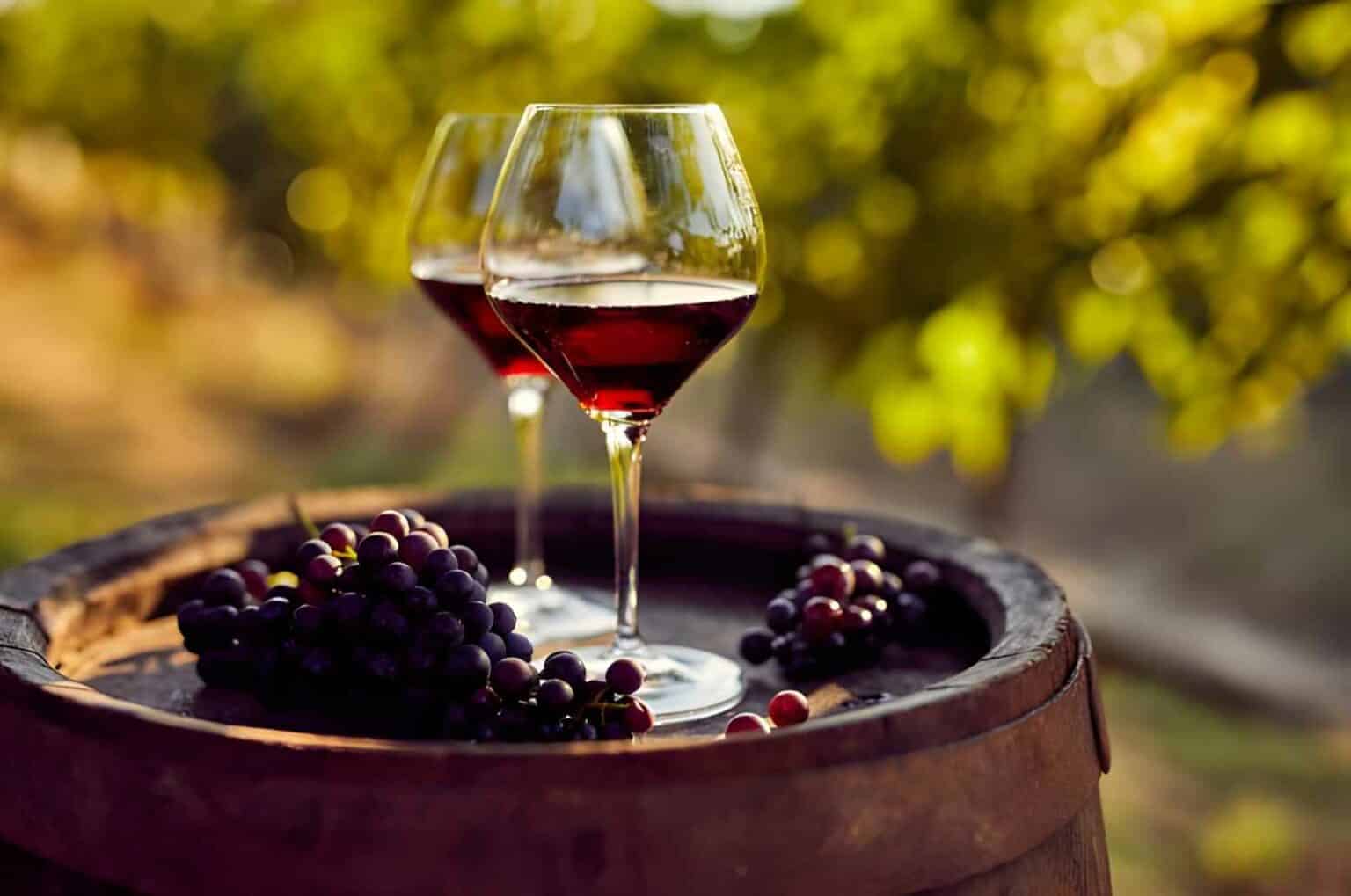 Tuscan-Wine-Guide-History-Taste-Drinking-Tips