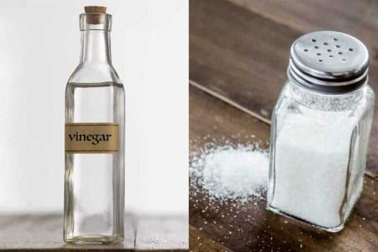 Use-Vinegar-and-Salt-to-Clean-Your-Decanters