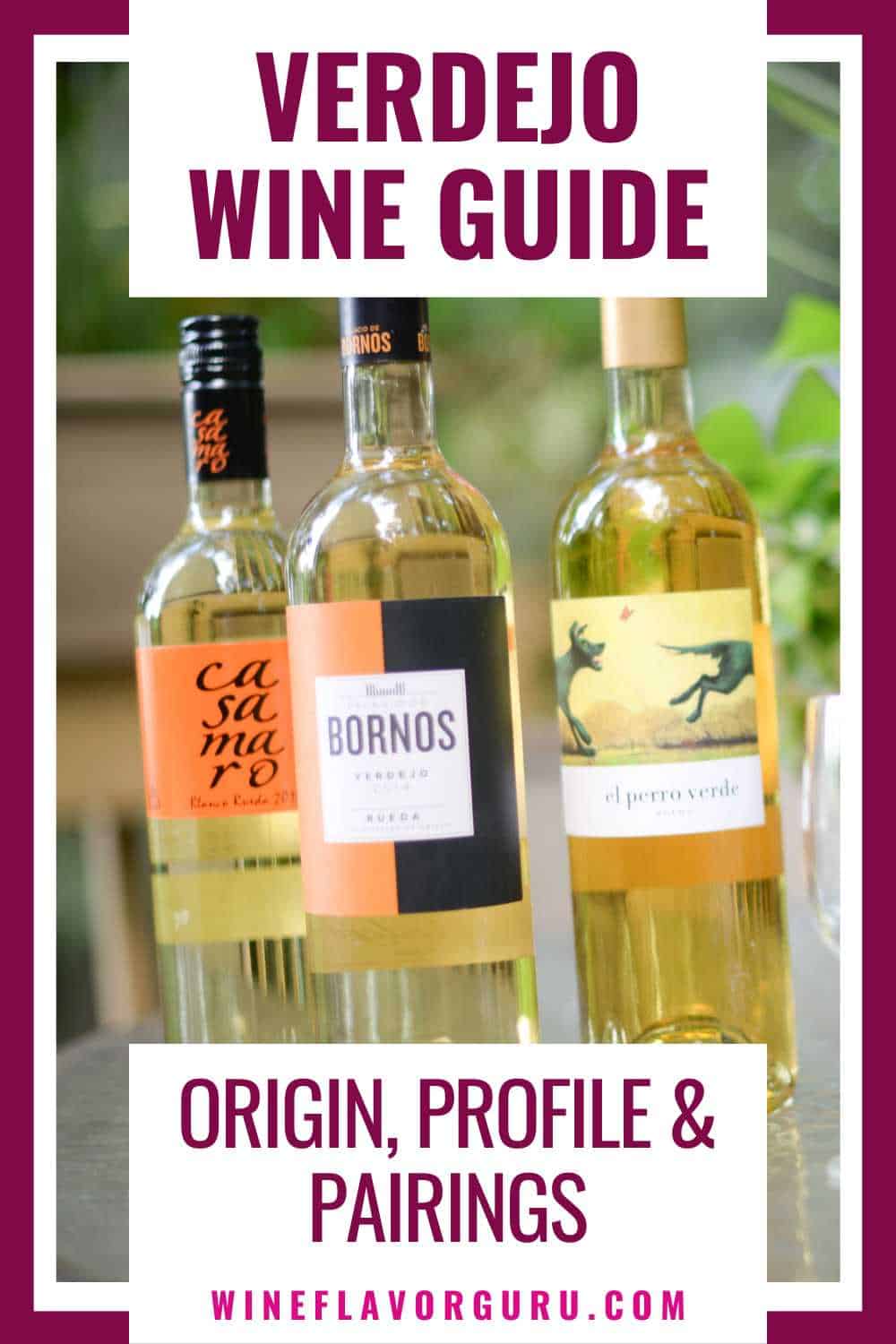 Verdejo Wine Guide