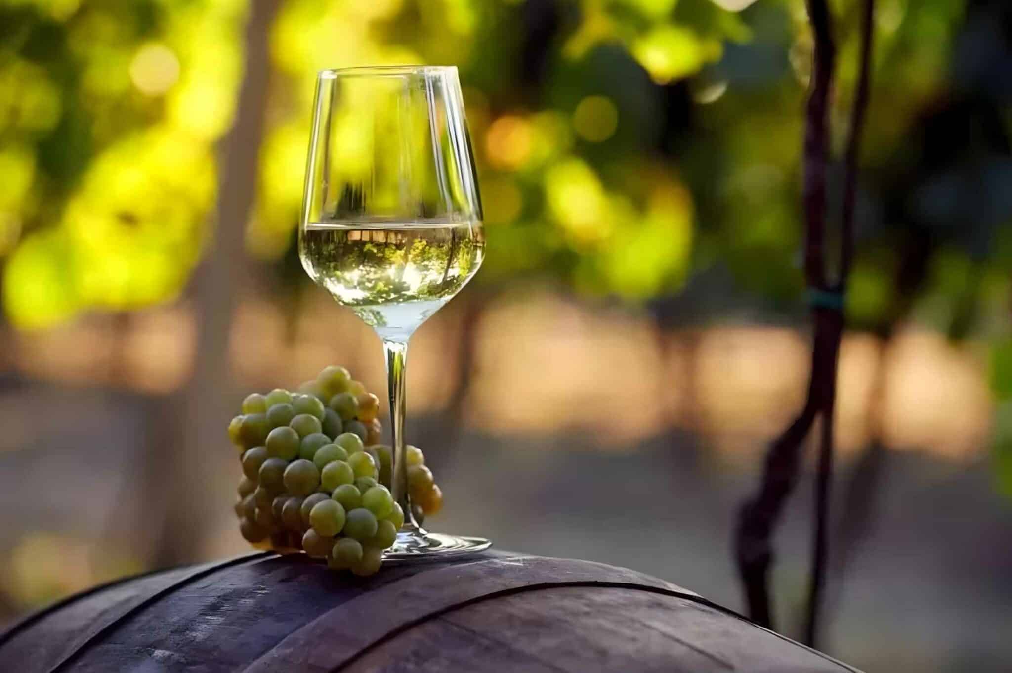 What-Are-the-Characteristics-of-the-Soave-Wine
