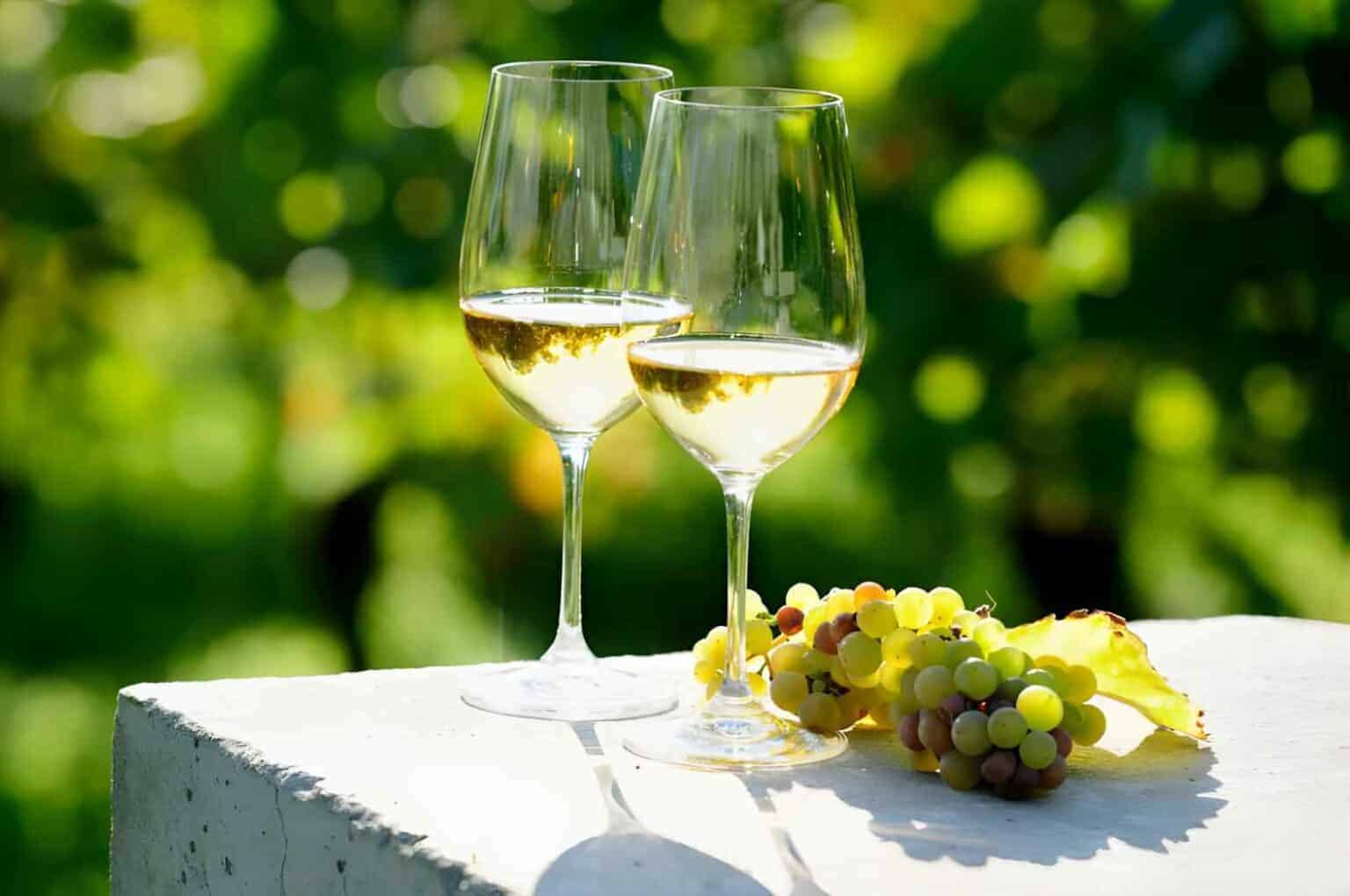 What-Is-Riesling-Wine-Facts-Trivias-Food-Pairings