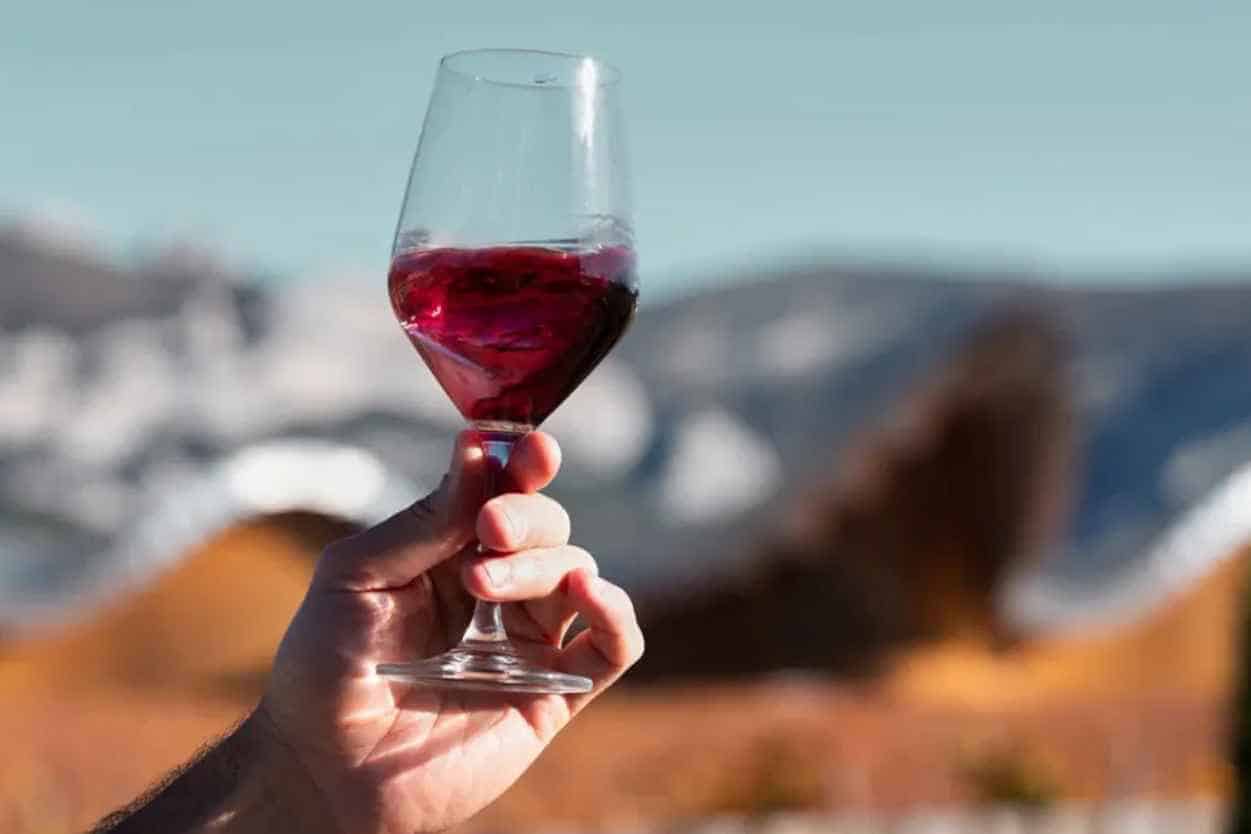 What-are-the-Benefits-of-Wine-Lees