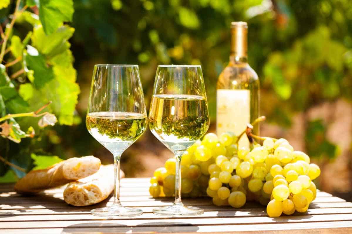 https://wineflavorguru.com/wp-content/uploads/2023/12/What-is-a-Chardonnay-Wine.jpg