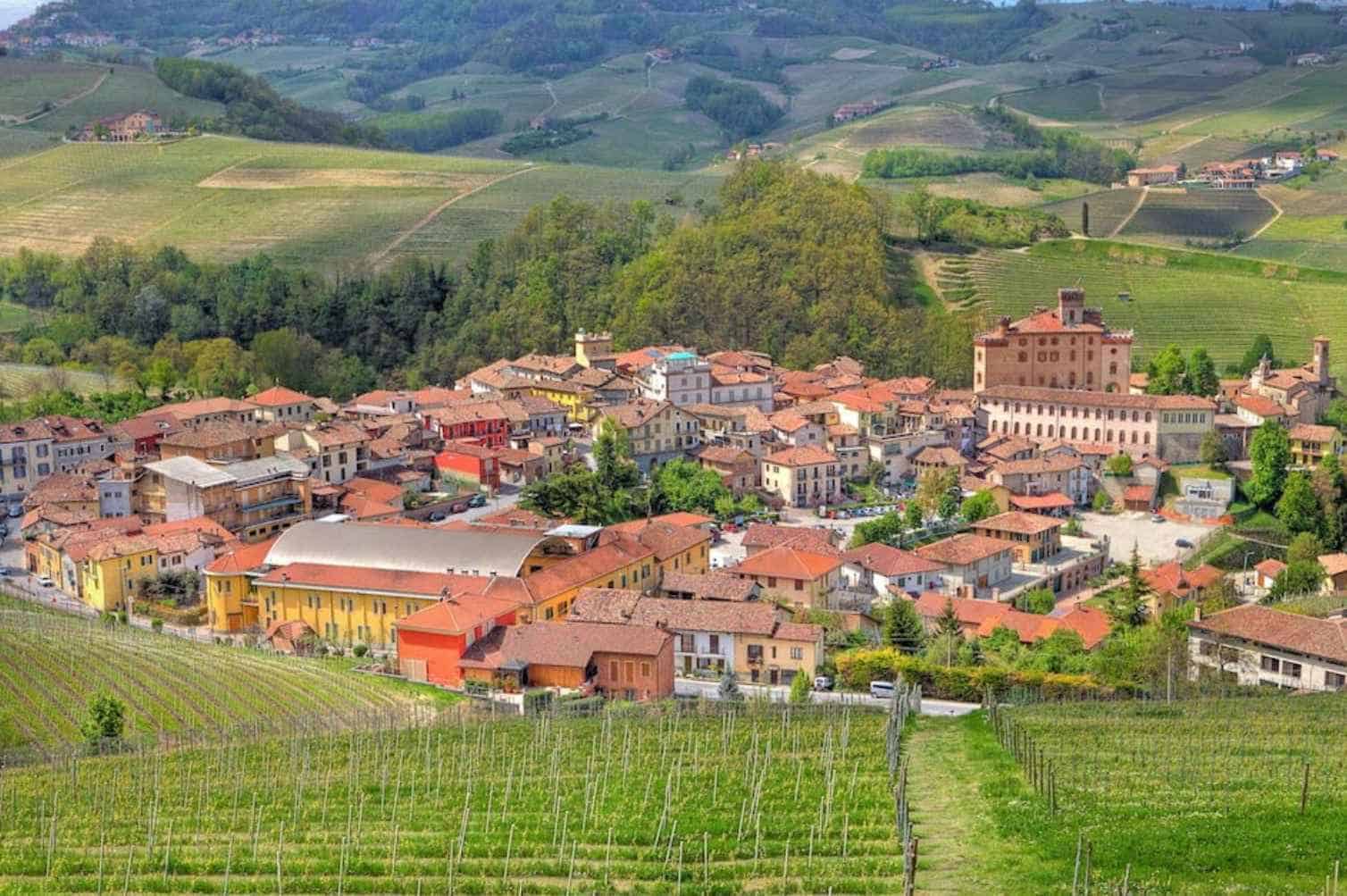 What-is-the-History-of-the-Barolo-Wine