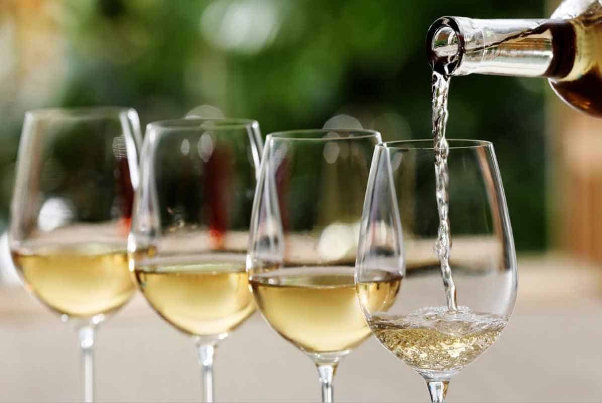 White-Pinot-Noir-Wine-Characteristics