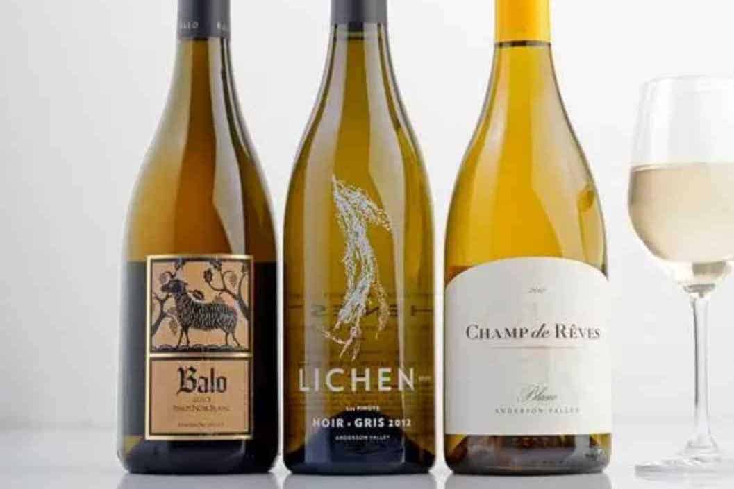 White-Pinot-Noir-You-Should-Try