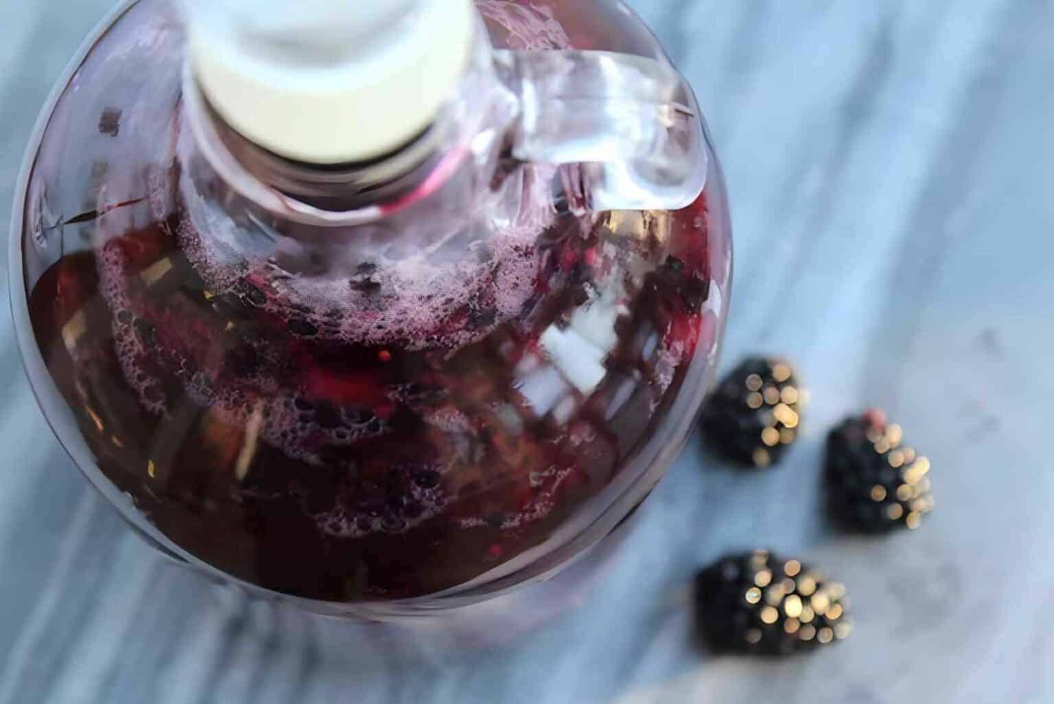 Why-are-blackberry-wine-recipes-popular