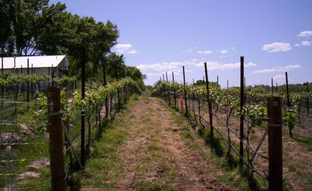 Wine-Tours-of-Sedona