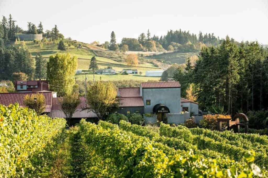 Wineries-in-Newberg-OR-Rex-Hill