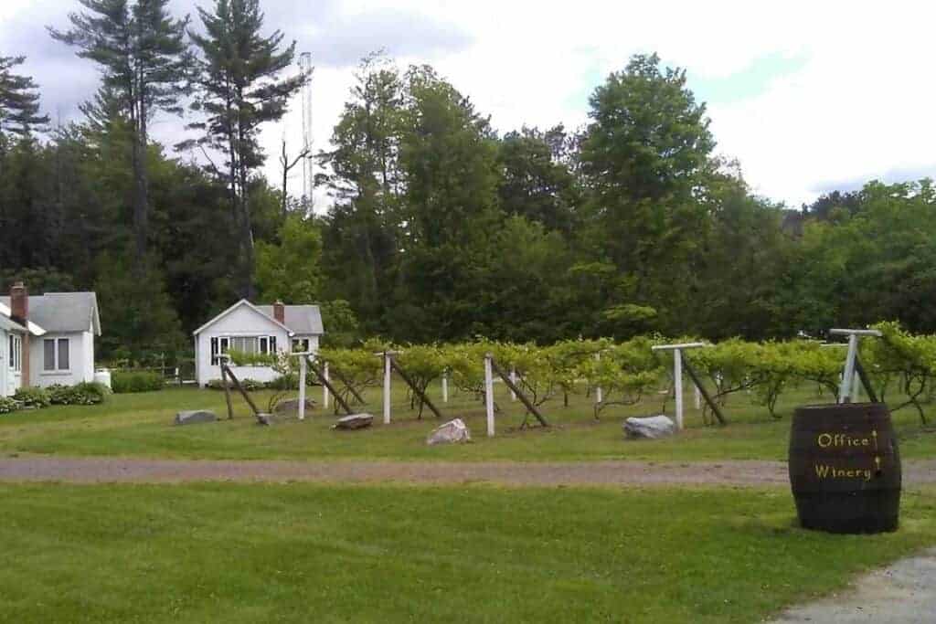 Wineries-in-Vermont