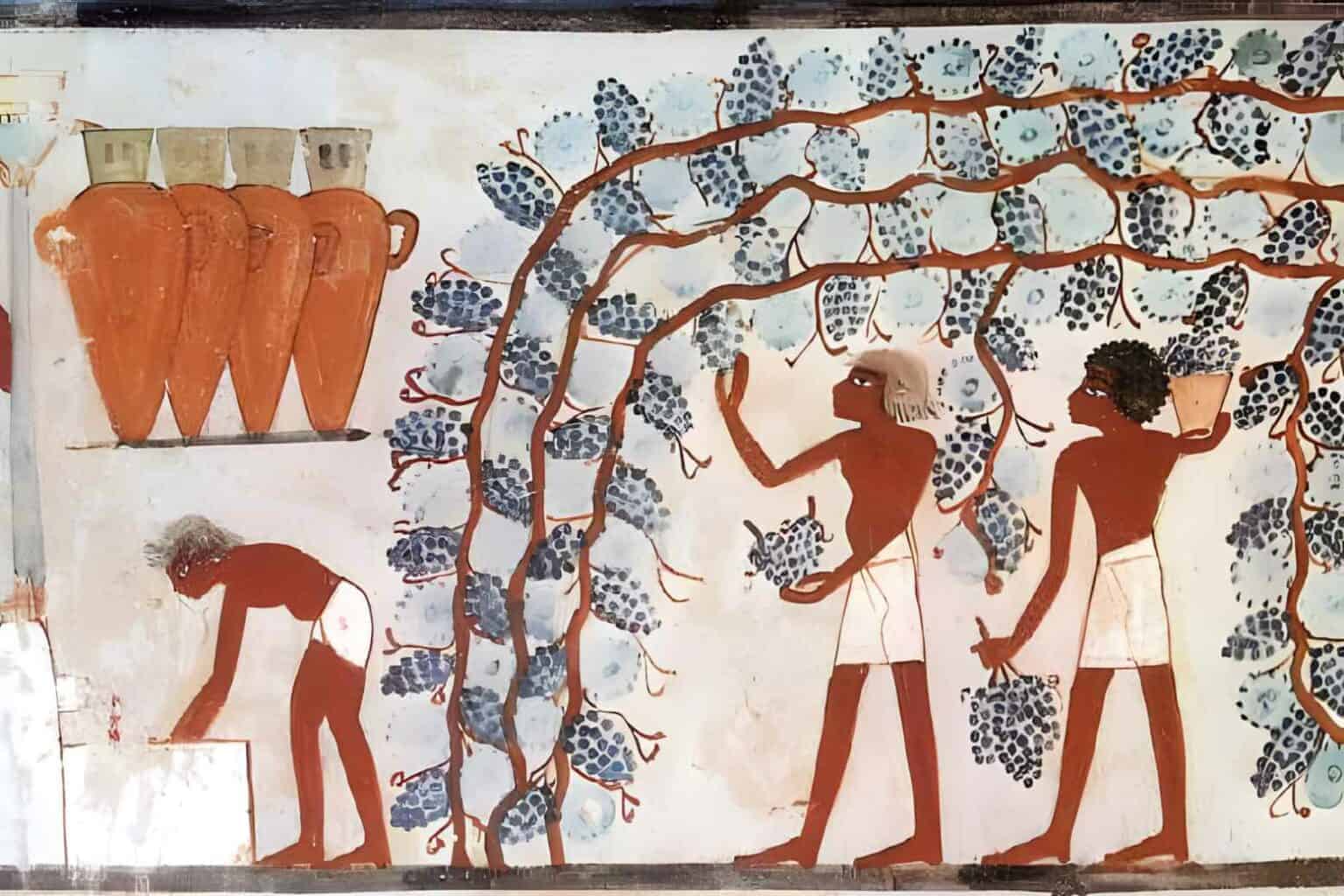 Wines-from-Ancient-Egypt-and-Greece