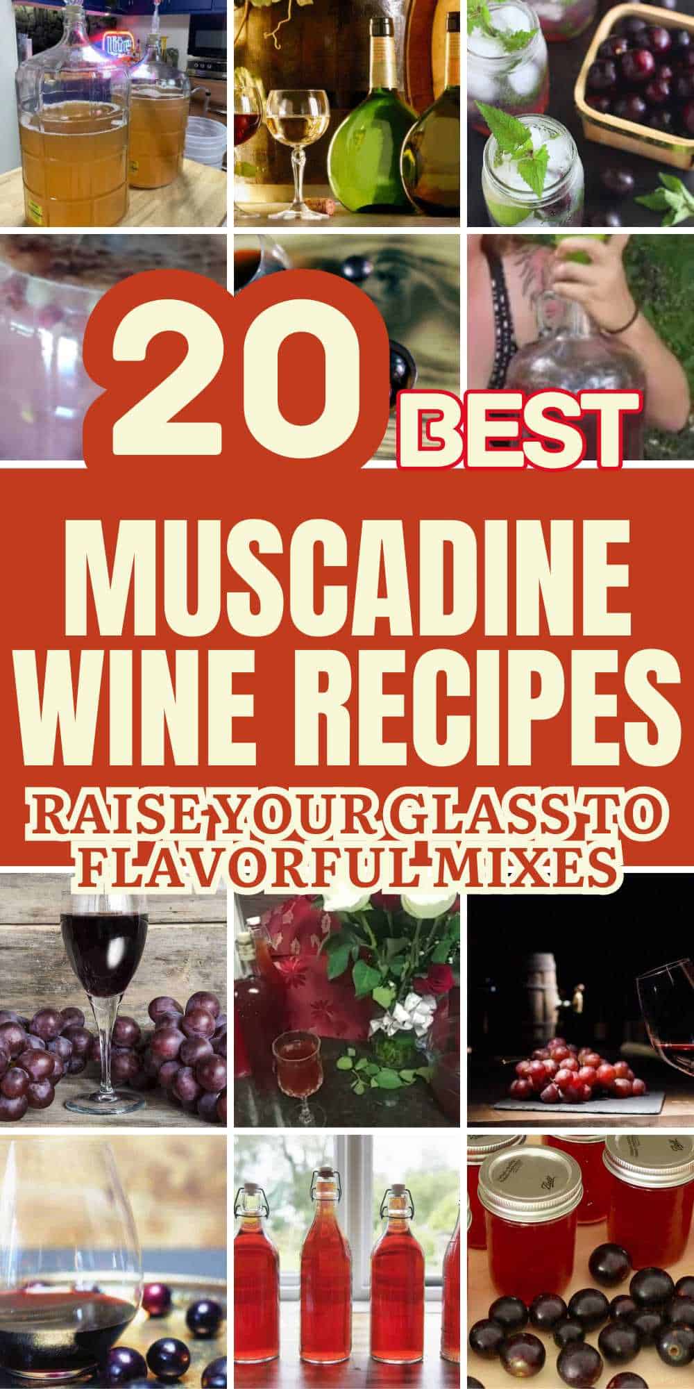 how-to-make-muscadine-wine